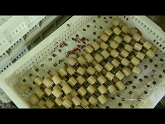 कैपेसिटिव इन्सुलेटर के लिए उच्च वोल्टेज 40.5kVAC-100pF 4000V सिरेमिक कैपेसिटर